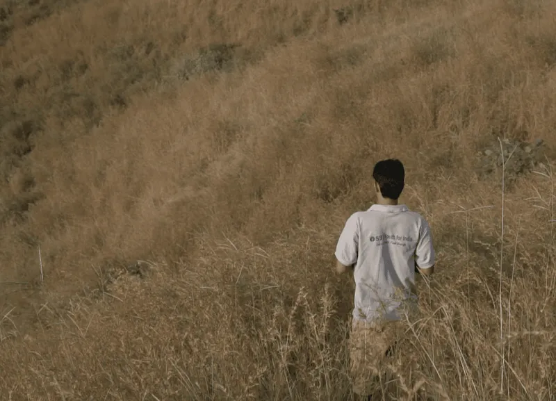 A person walking through tall dry grass in the countryside
